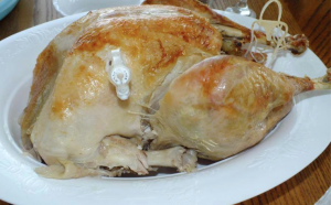 homemade bone broth blenderized diet