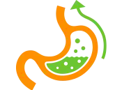 food icon one
