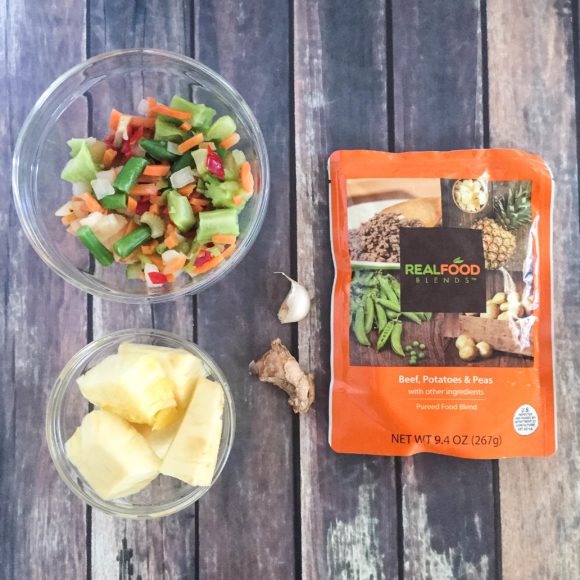 Real Food Blends Recipe Book