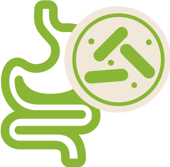 Microbiome_web