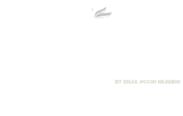 12_days_logo_